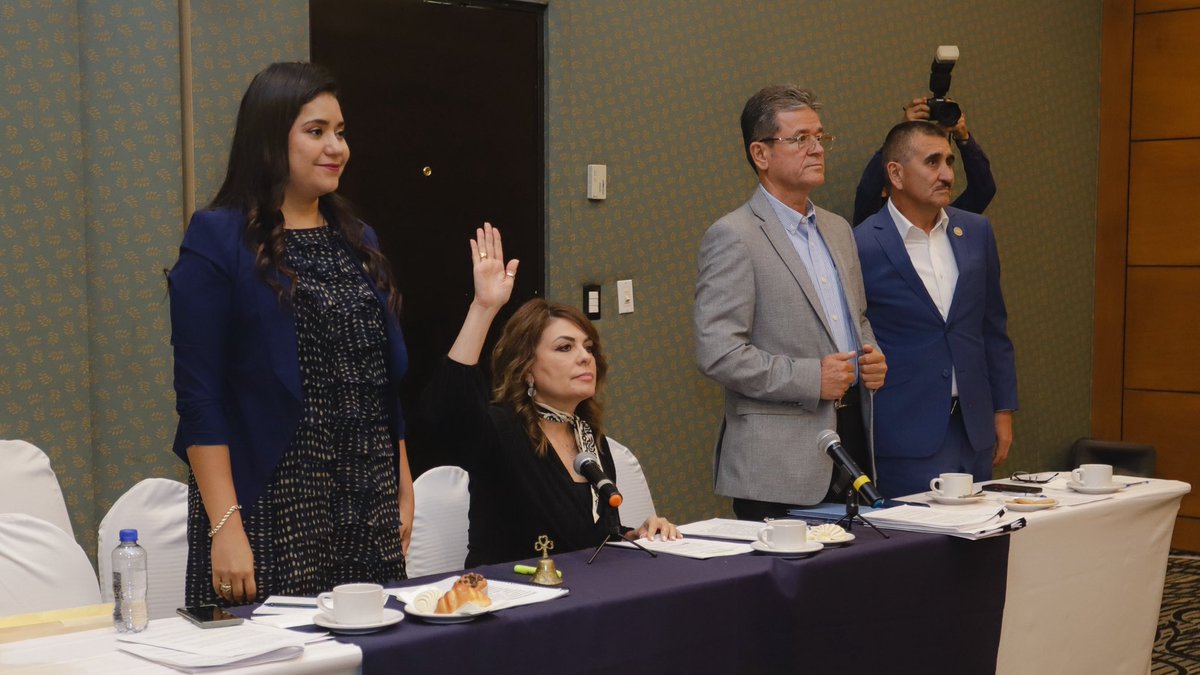 Congreso Local Son tweet media