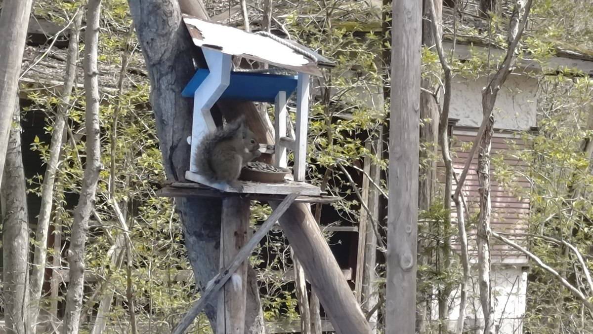 KUNIHIROSUZUKI tweet media