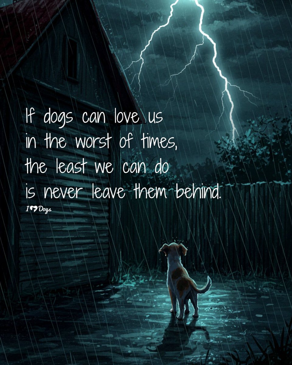 Doggy Mix Daily tweet media