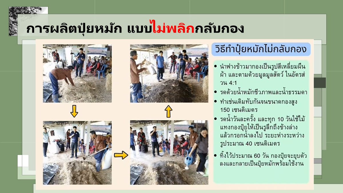 การผลิตปุ๋ยอินทรีย์จากมูลสัตว์ 🐮🐷🌳 CR : สำนักงานเกษตรจังหวัดหนองบัวลำภู #กรมส่งเสริมการเกษตร #ปุ๋ยหมัก #ลดต้นทุนการผลิต