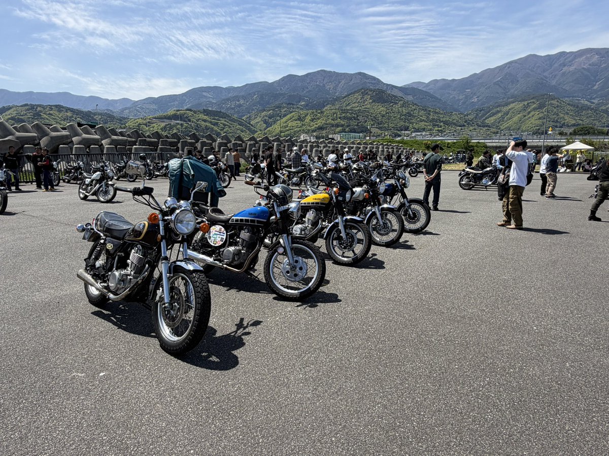 カオルちゃん tweet media