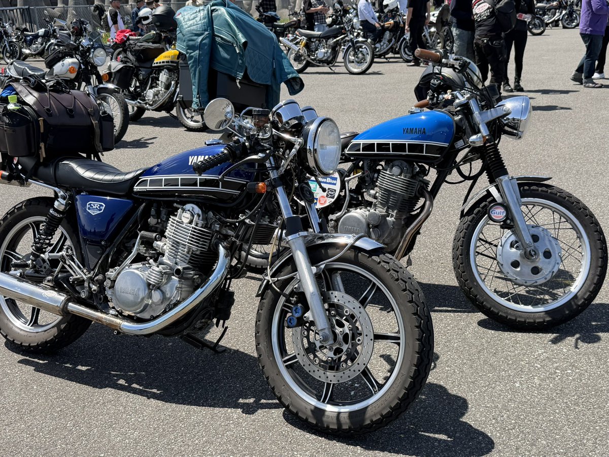 カオルちゃん tweet media