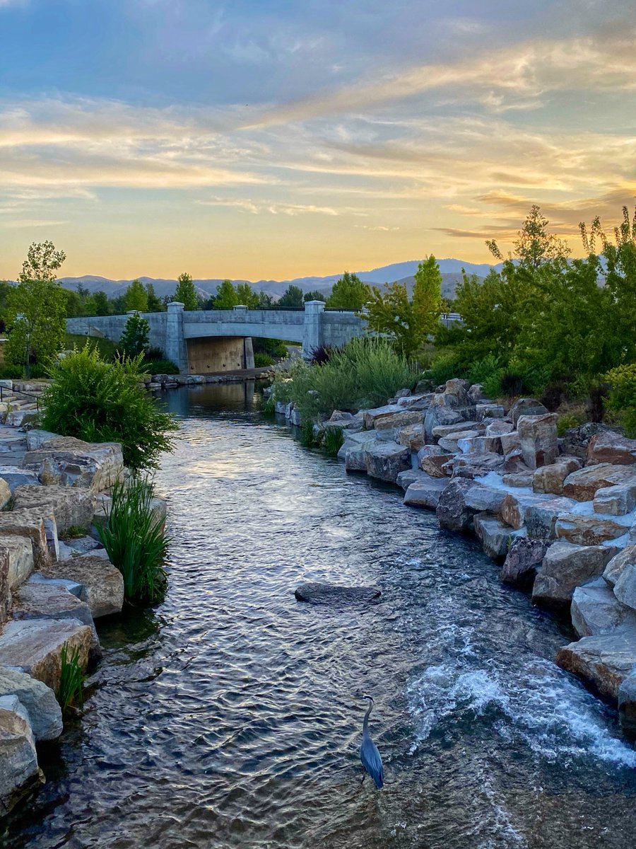 8ntmuch's tweet photo. Let’s see your bridge photographs!  🌉 https://t.co/RyFxQmtLg5