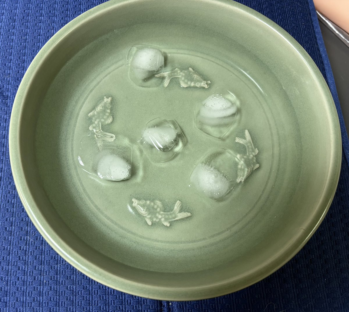 魚の浮彫り緑色陶器皿 魚文様の青磁の水盤に氷を浮かせて素麺の盛り器に。涼やか！