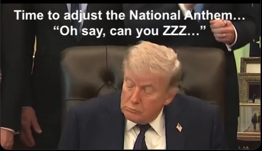 Steve Hamilton tweet media