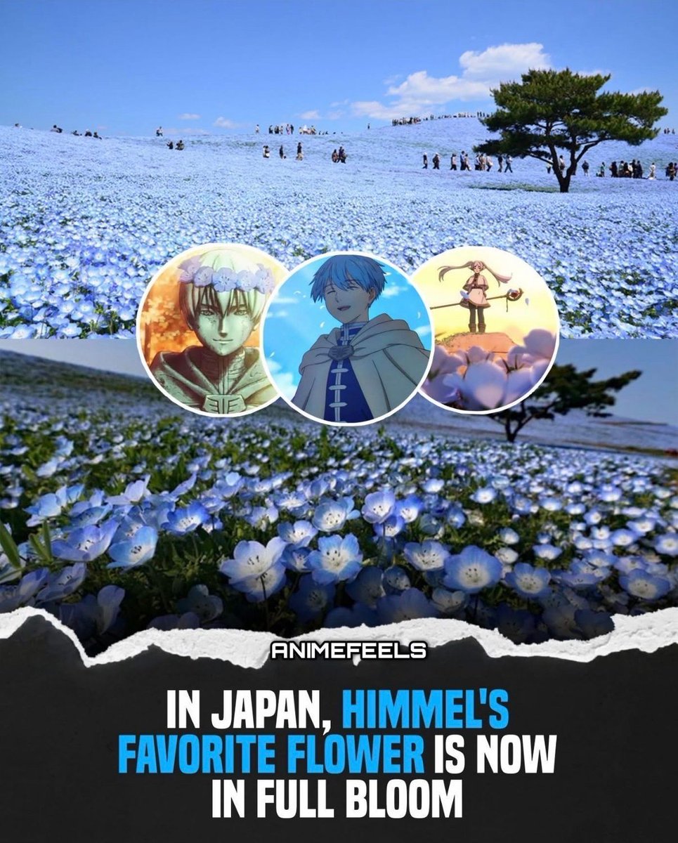 Anime Posts tweet media