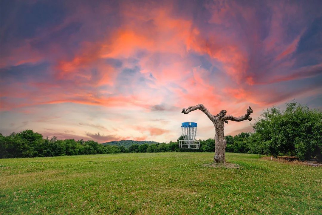 Disc Golf Fanatic tweet media