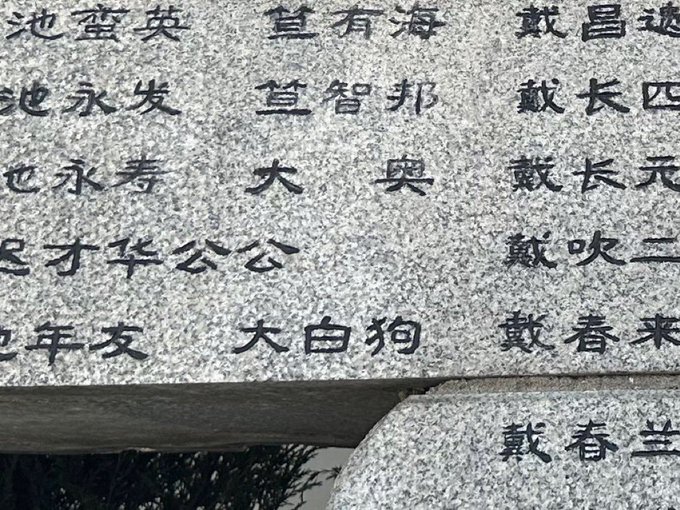 中東の虎✡️内格夫🩵🌸 tweet media