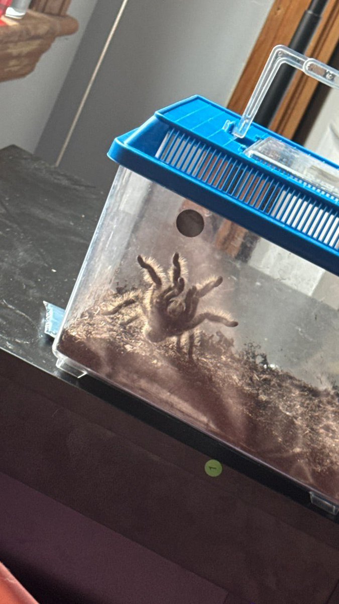 ♡ 𝒱𝒾𝑜𝓃𝑒𝓁𝓁𝑒 ♡ tweet media