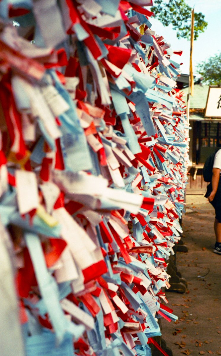 syashin_rensyuu's tweet image. 祈り
4月下旬 16時頃

Rollei35S

Lucky Color 200
マリックスC-41
38℃ 3:30

#Rollei35 
#Luckyfilm
#乐凯
#Marix
#自家現像