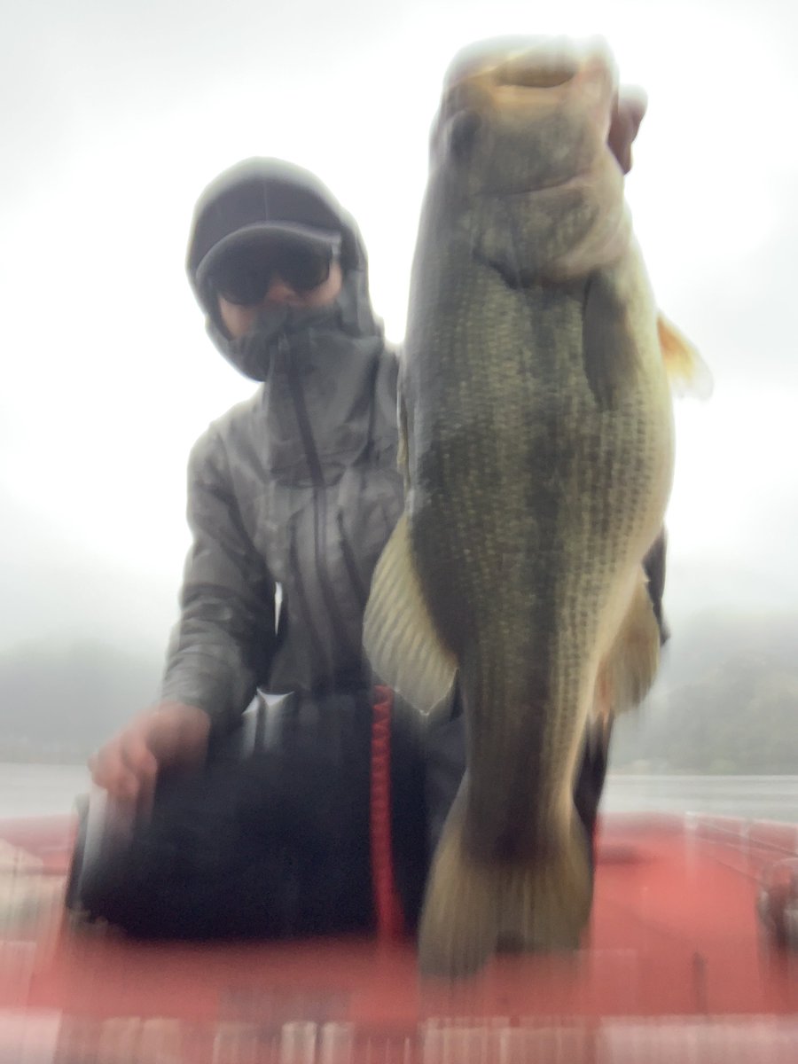 GpMpjtw's tweet photo. 久しぶりの更新🐟
昨日は河口湖Bシリーズ初戦。
雨パワーでバイト多数でしたが、ショートバイトでキャッチできたのは1本のみ、2200くらいで8位。
試合後の残業フィッシングでは、試合中には釣れなかった3キロクラスのバスが釣れました😅
#河口湖　#バス釣り　#釣り　#葛西理夢斗
#カワグチドッグ https://t.co/XMNi23pIWN