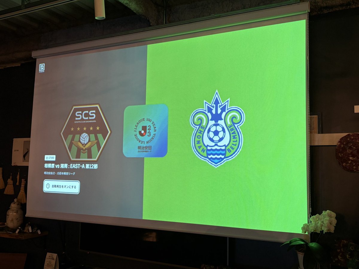 Order Curtain Poppy tweet media