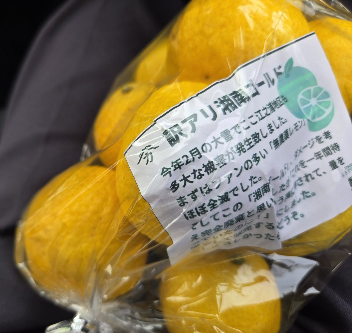 訳あり湘南ゴールド この訳あり湘南ゴールド🍊1袋いくらか分かるカネ¥？🤔🤭👌