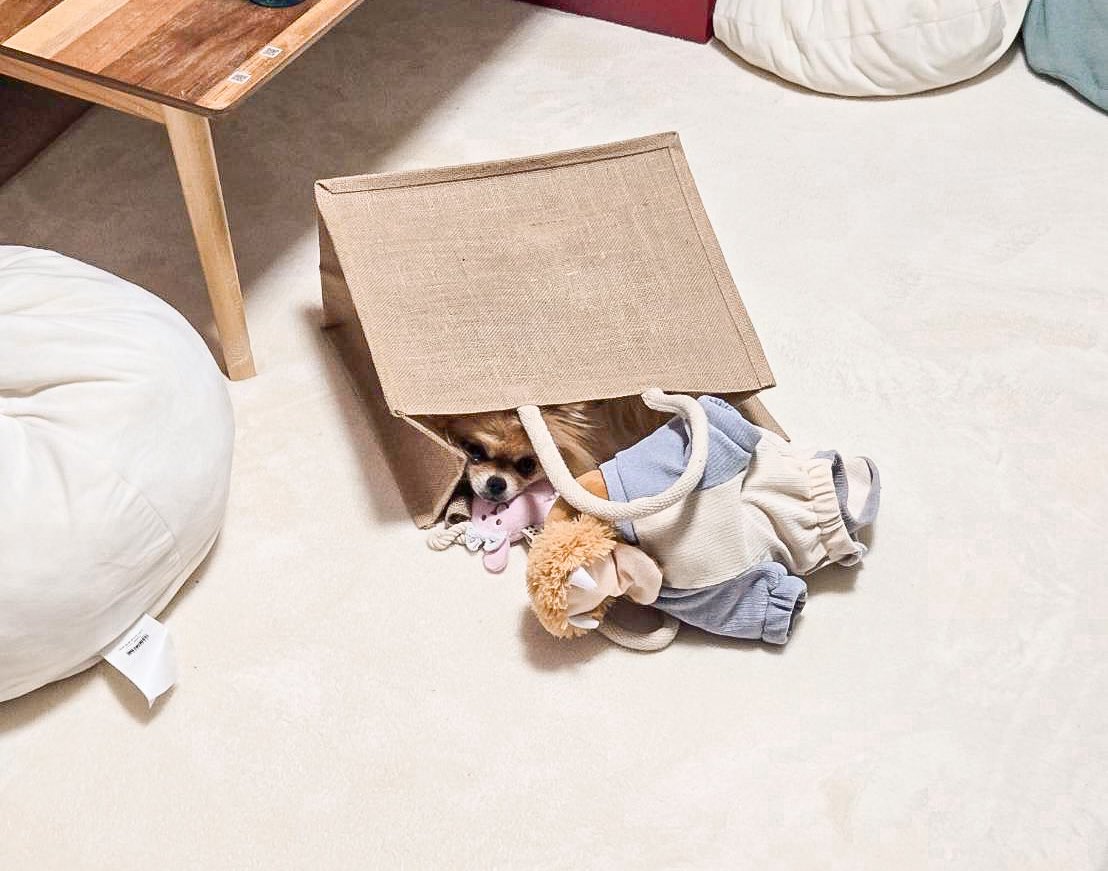 EBIKECHI tweet media