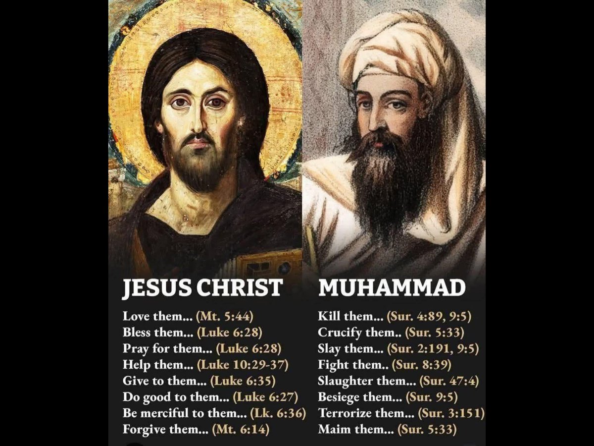 Patriot Bear tweet media