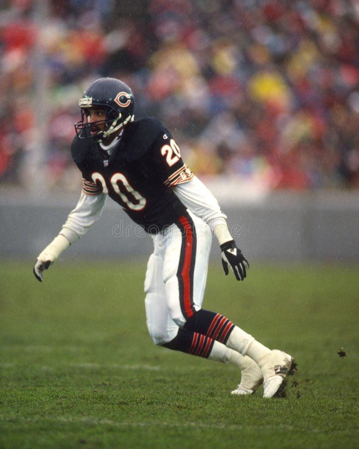 BearsMuse tweet media