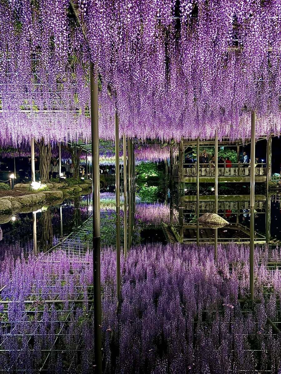 ☆セイジ☆ tweet media