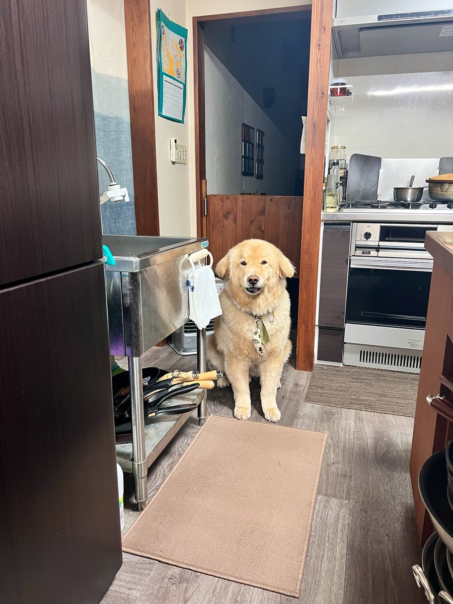 ディッパー tweet media