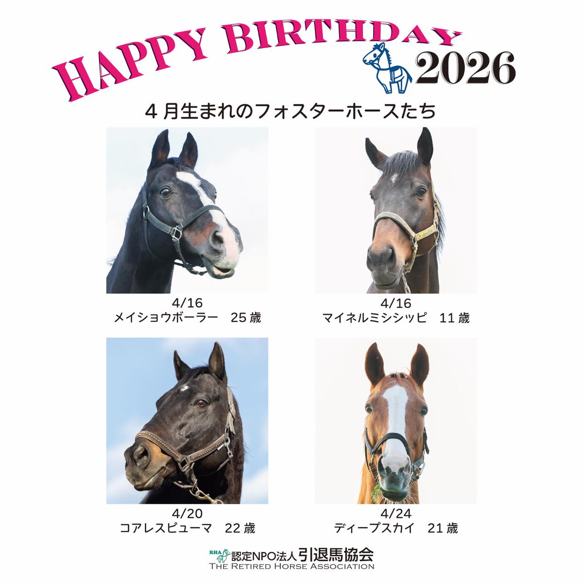 本日4月24日は #ディープスカイ の誕生日です。2005年生まれ、21歳に