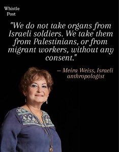 Ray Youssef tweet media