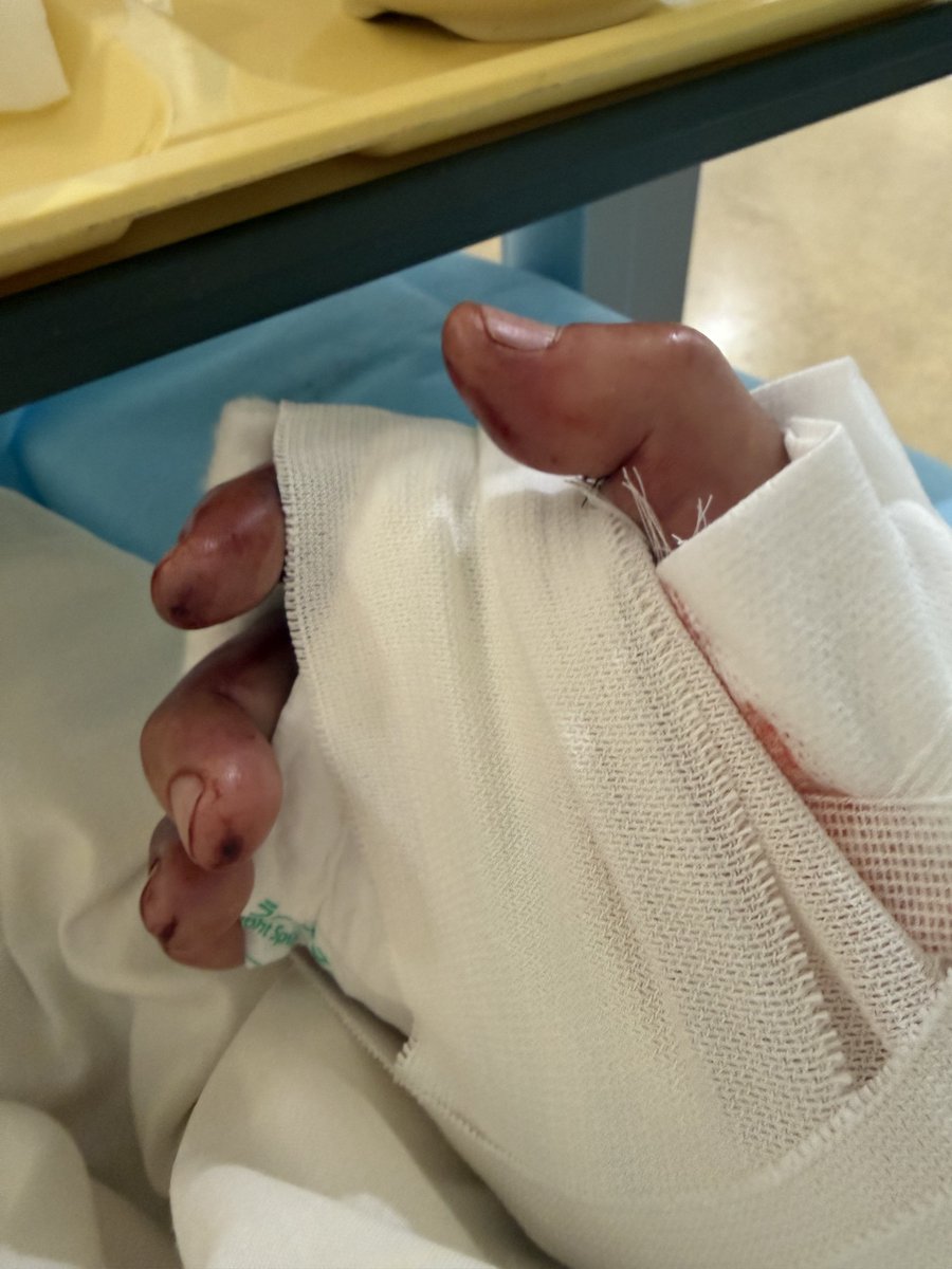 八重樫(やえがし)28号🐰🍓 tweet media