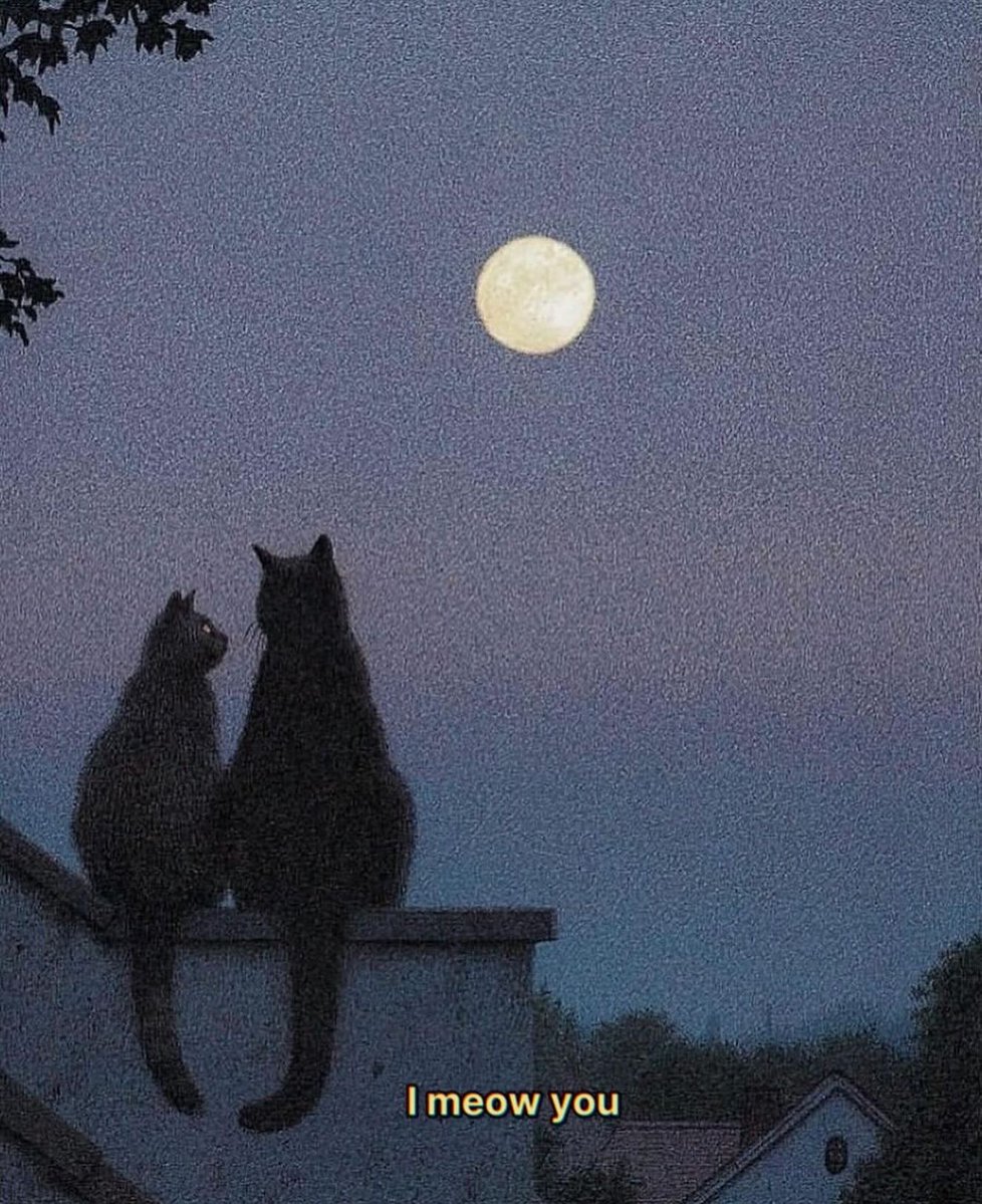 Punch Cat (@punchingcat) on Twitter photo 