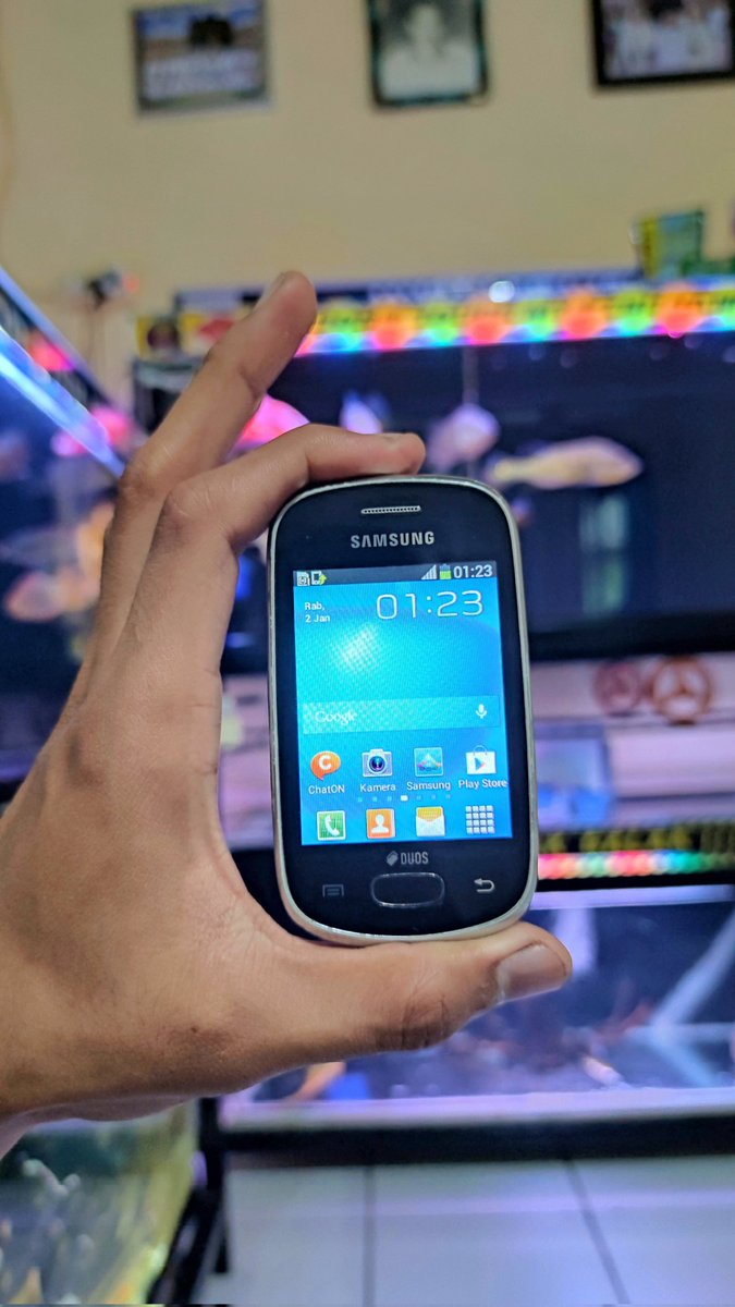 Enjoy 🦖 tweet media