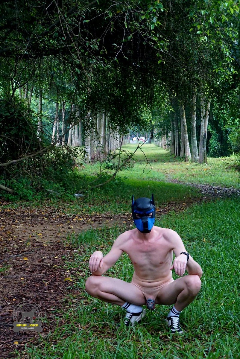 Puppy Kira tweet media