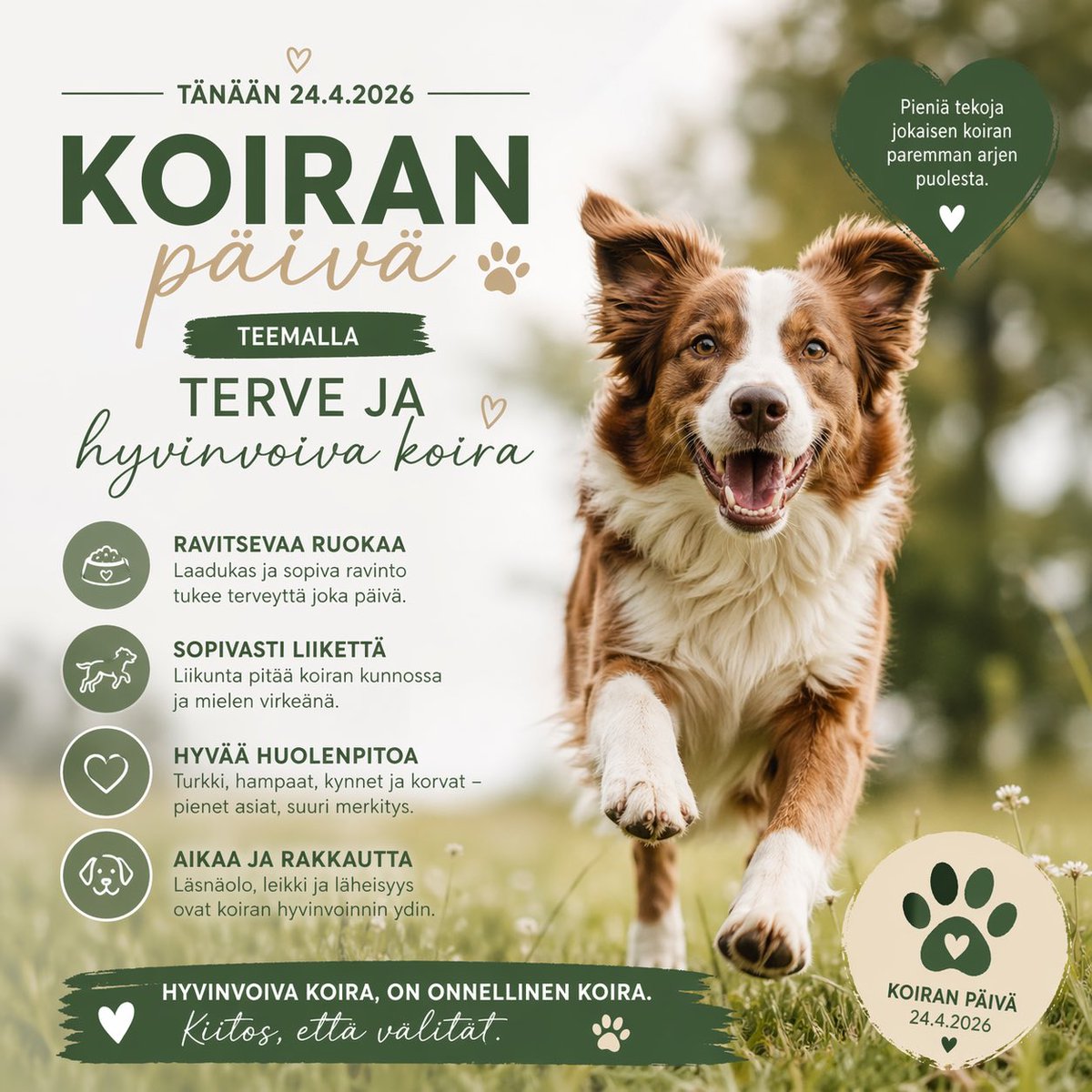Hyvää koiran päivää karvaisille ystävillemme! 🐶🐾🦮🐩🐕‍🦺