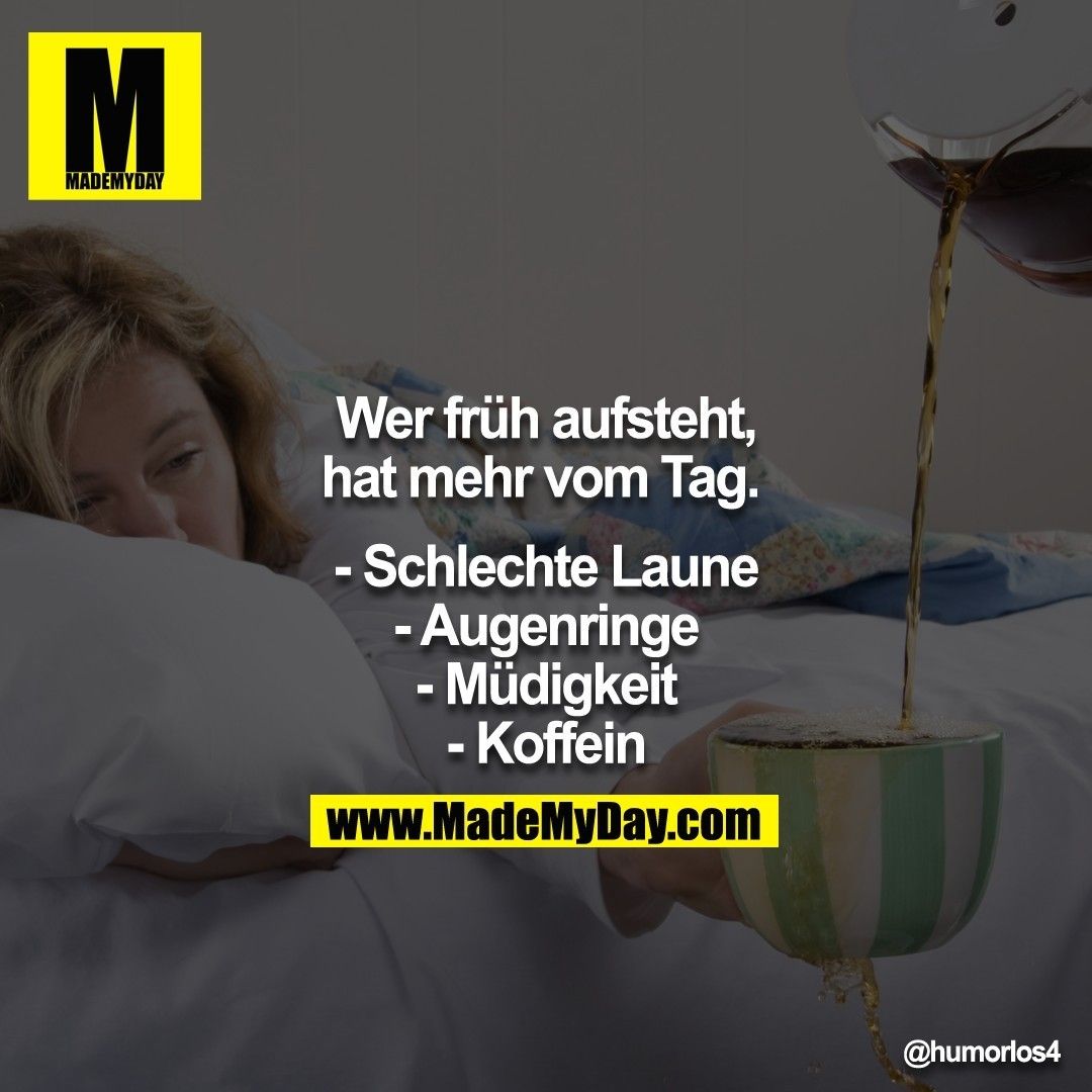 🖤💛Toby & Happy🖤💛 tweet media