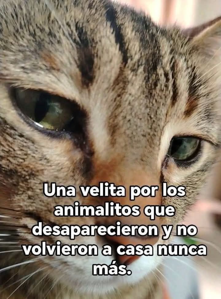 Manu Saenz💛💛 tweet media