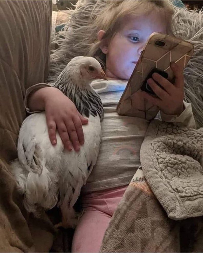 engemma8 tweet media