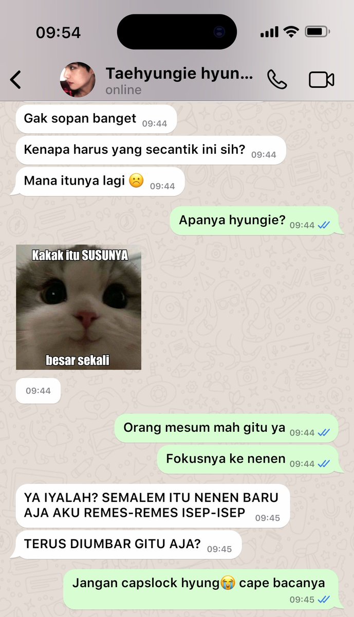 𝐋𝐈ꪜA• 𓇗 tweet media