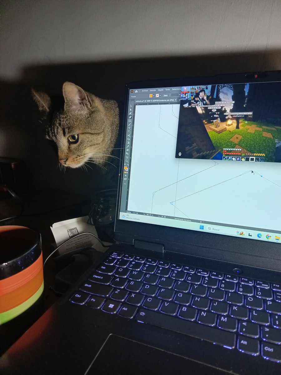 Jelblue 🫧 🇪🇨 tweet media