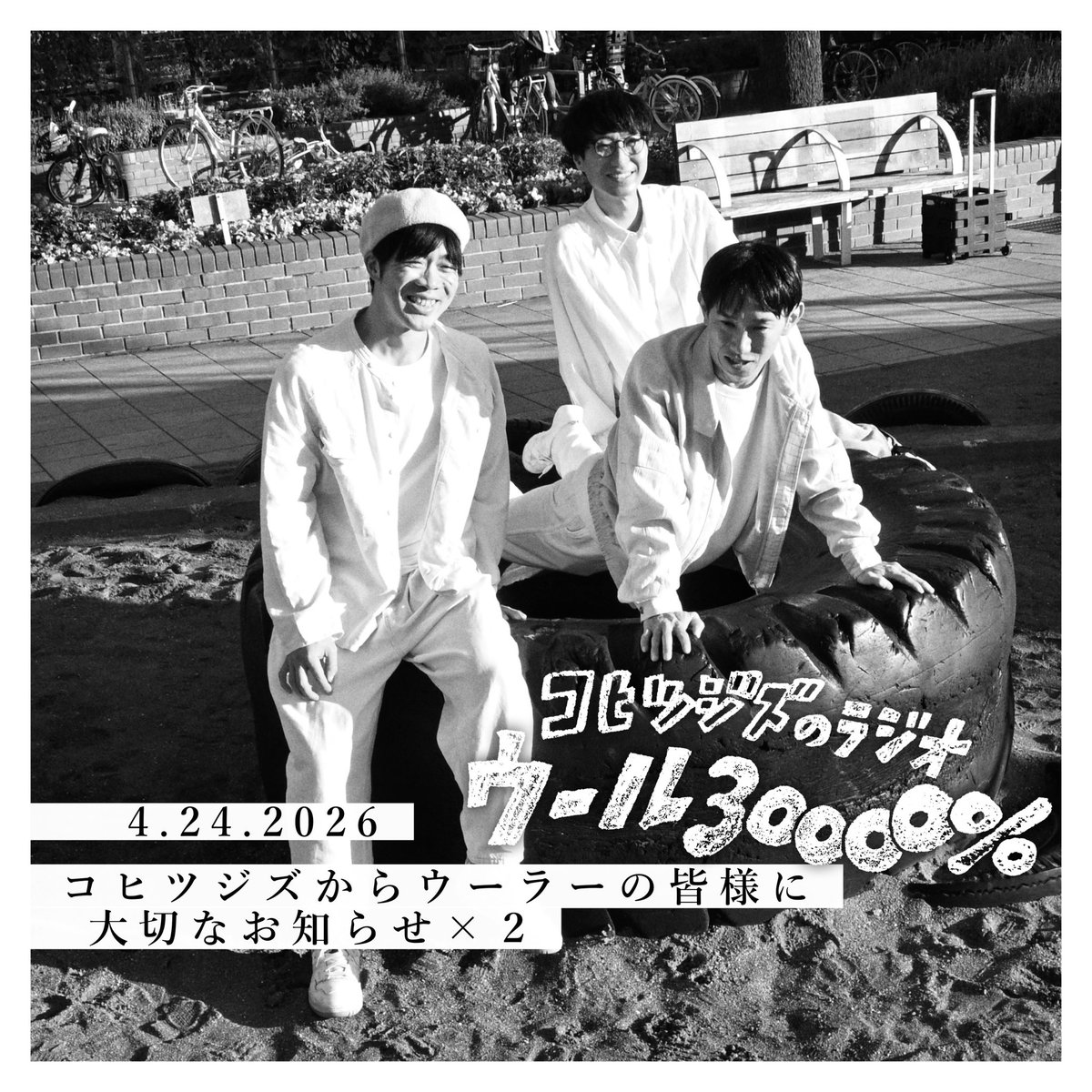 コヒツジズ tweet media