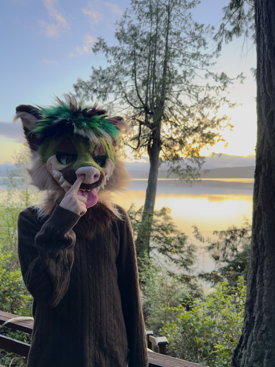 arlo 🔜 fwa tweet media