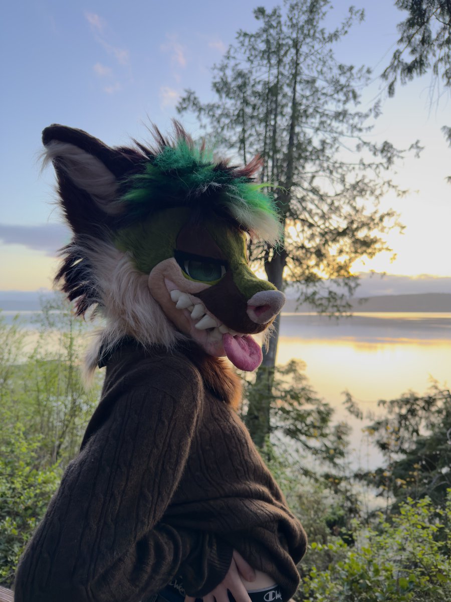 arlo 🔜 fwa tweet media