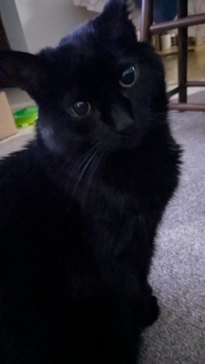 Good Luck tweet media