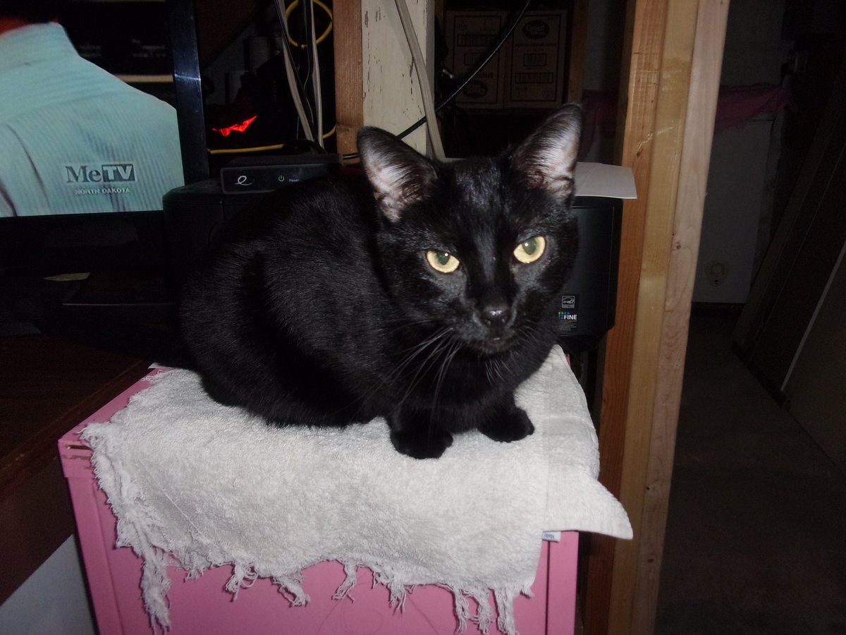 Good Luck tweet media