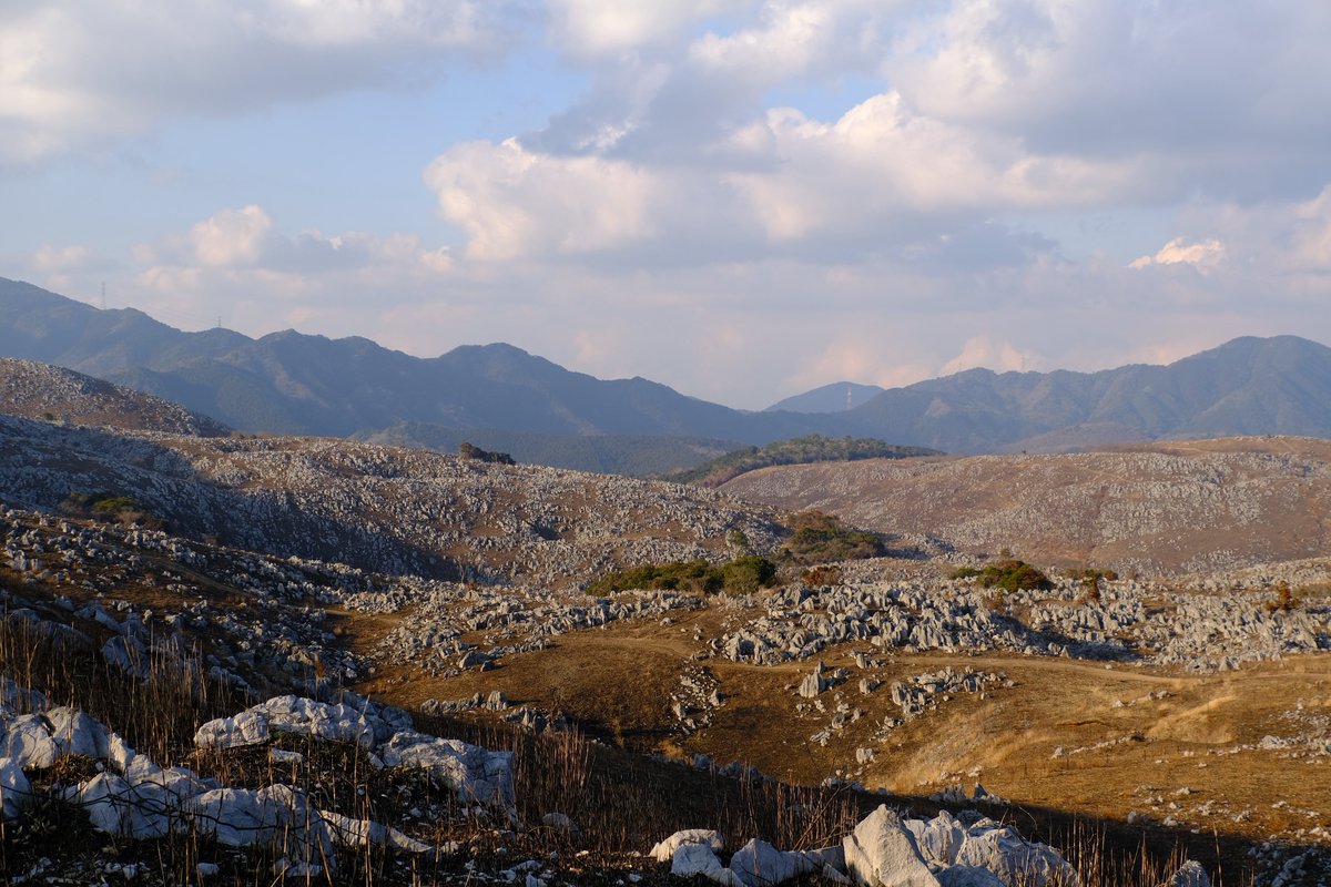 おみや tweet media