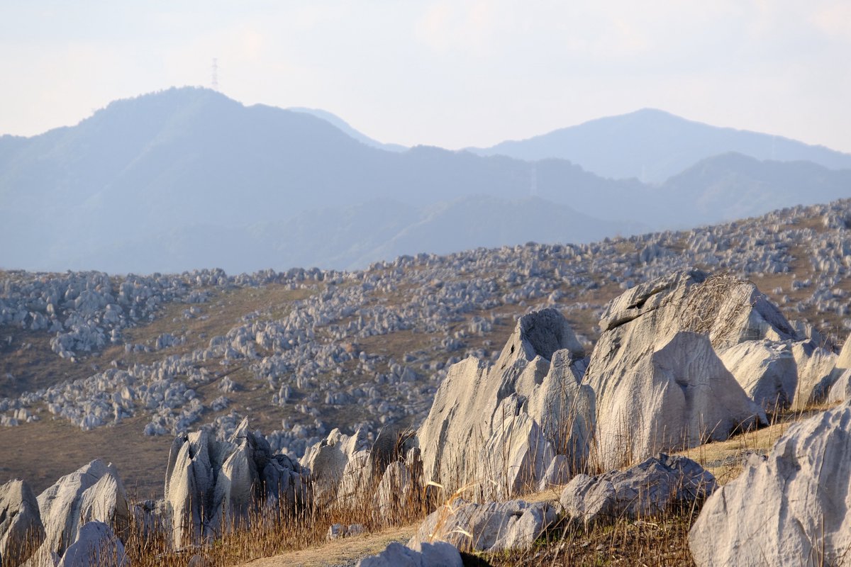 おみや tweet media