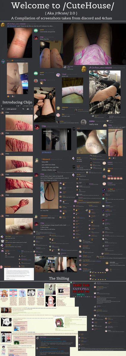 Hug the monster tweet media