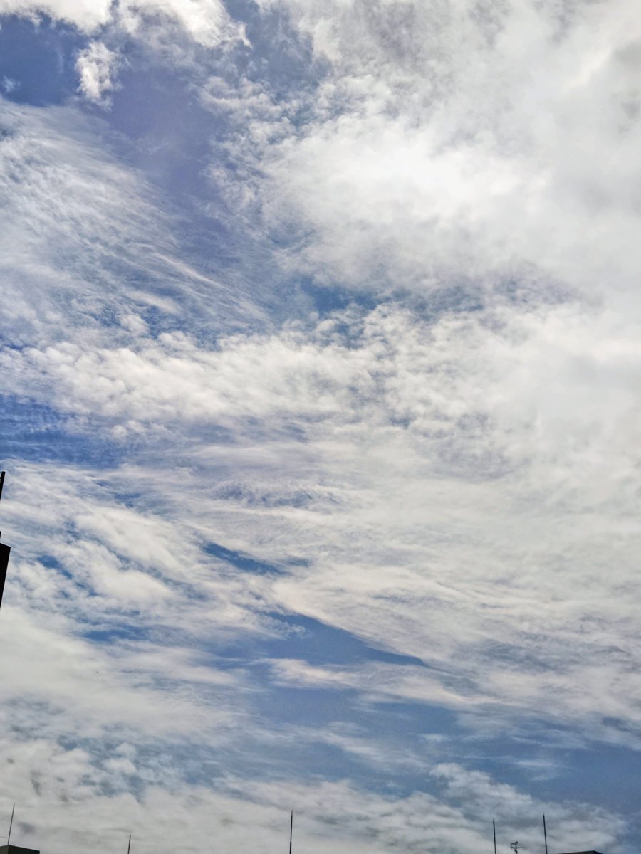 ryou1115 tweet media