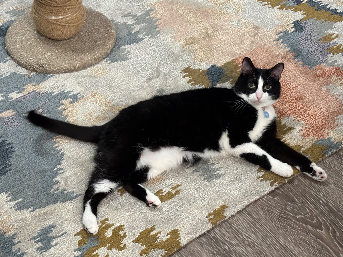 Grape 🍇🐉 tweet media