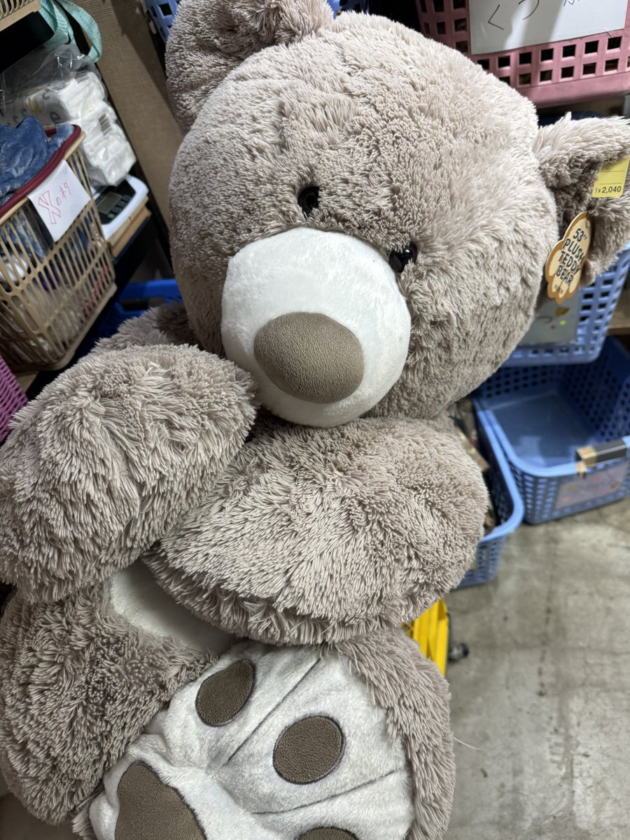 kingfamilyKANTO's tweet image. 【花小金井店】

巨大くまぬいぐるみ🧸🩷
入荷しました(-ω☆)ｷﾗﾘ
取り置き・輸送❌
ご来店お待ちしております👑

#古着 #花小金井 #キングファミリー