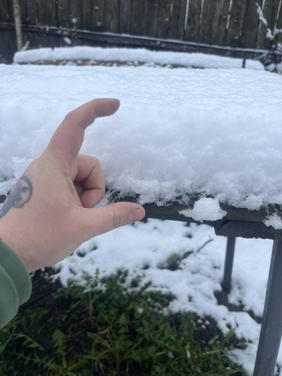 Закс tweet media