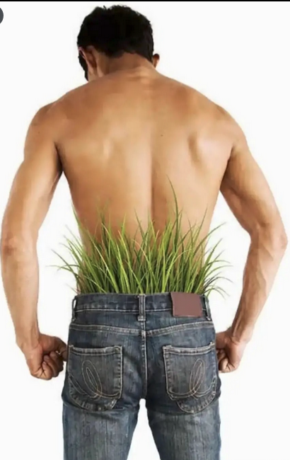 maitwerking tweet media