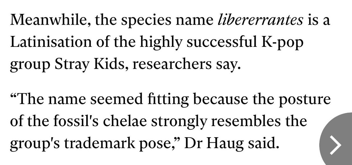 Ber ʕ•ᴥ•ʔ skrred with han tweet media