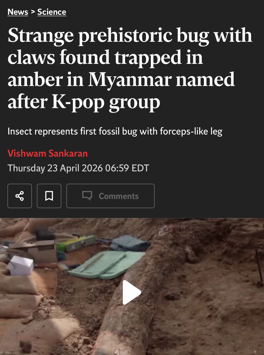 Ber ʕ•ᴥ•ʔ skrred with han tweet media