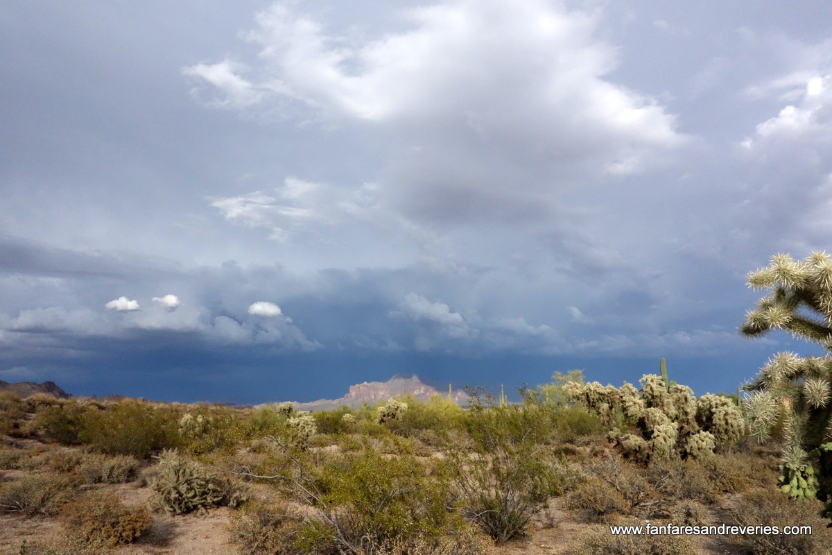 Mesa_Artist's tweet image. Storms across the desert.  #Arizona #desert #ThursdayThoughts 🍂🌿🍃🌳